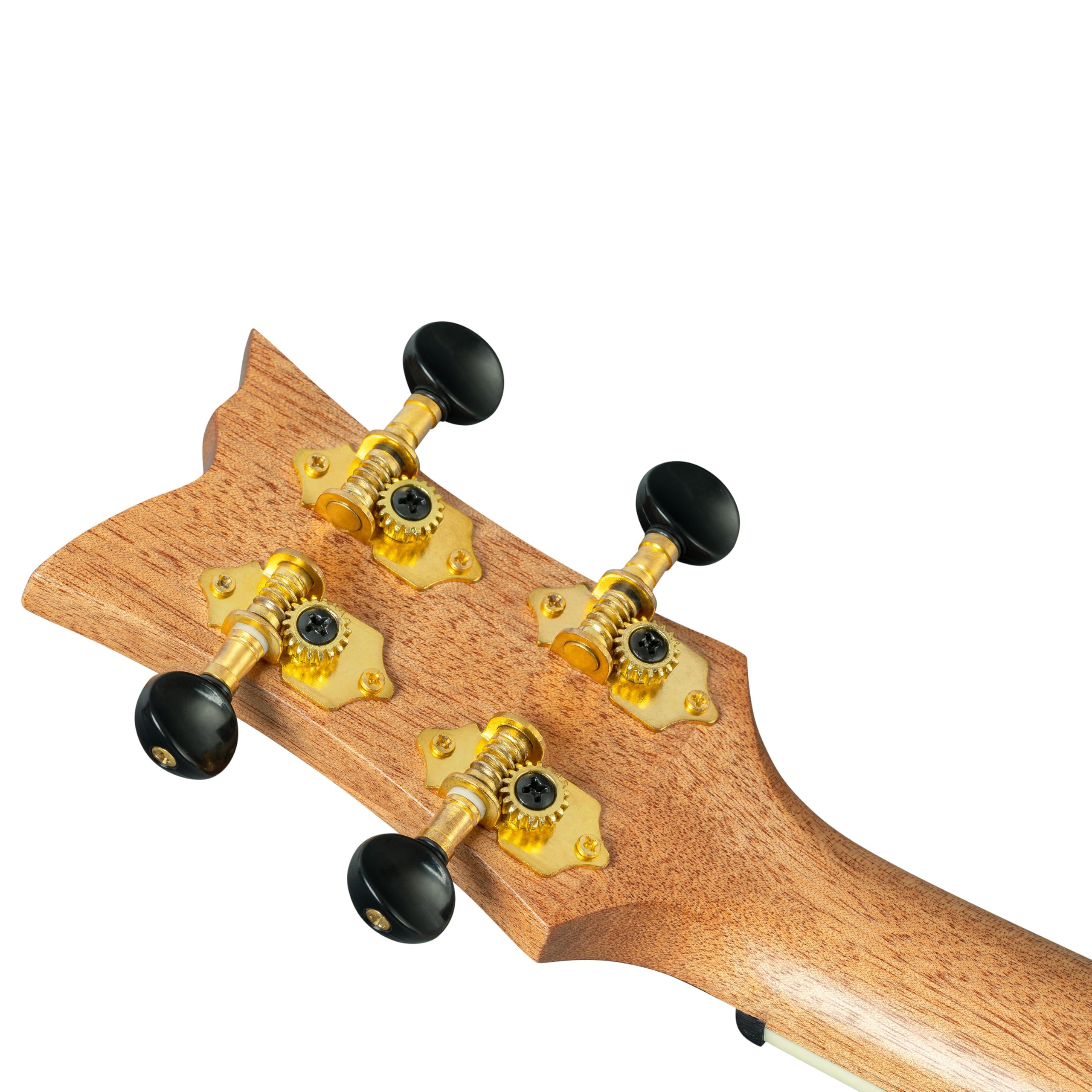 Ortega Guitars Ukulele Tenore Acustico – Ghost Series – Gig Bag Inclusa – Abete Rosso, Red (RUGH-SRT)