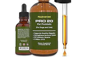 Cat Probiotic Liquid: Premium Enzymes for Happy and Healthy Cats