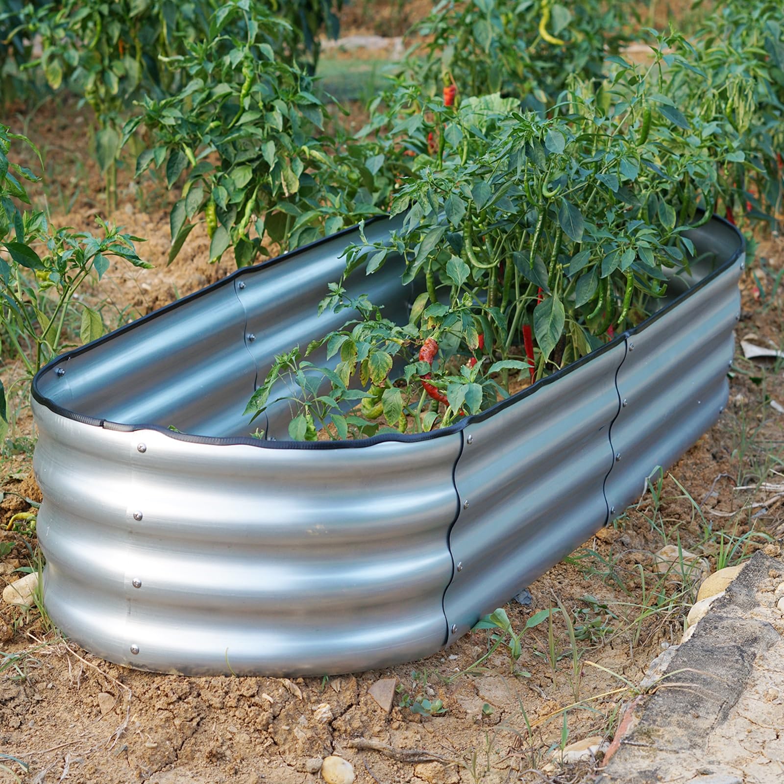 Gr8 Garden (182Cm X 61Cm X 30Cm, Square Galvanised Steel) Garden Outdoor Raised Planter Pot Steel Trough