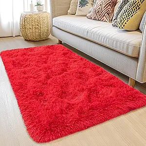 Small Red Rug 2x3 - Throw Rugs with Rubber Backing Washable - Ultra Soft Fluffy Area Rugs Living Room Shag Carpet