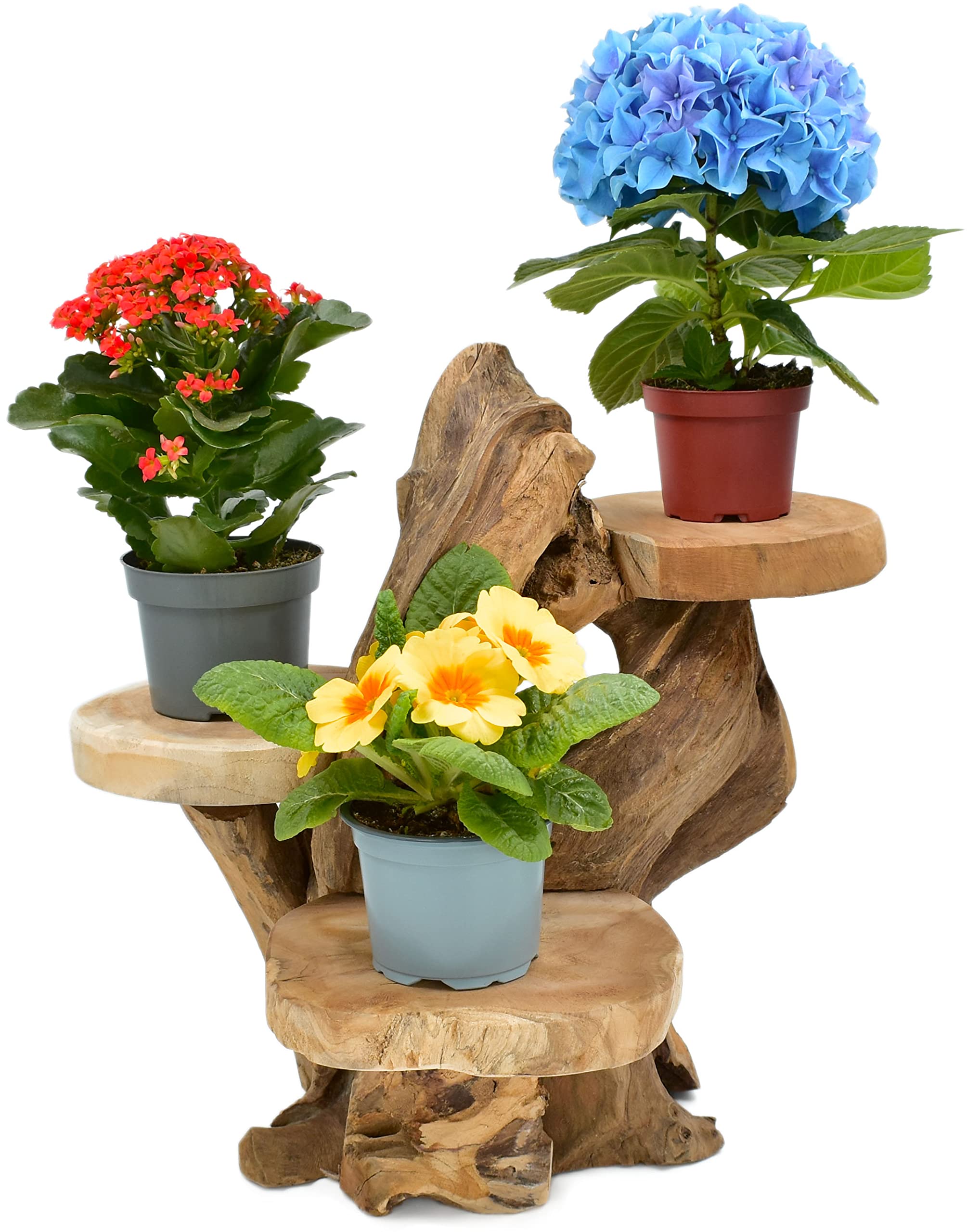 Teak Blumenständer mit 3 Ablagen Blumenpodest Pflanzentreppe Blumenregal Ständer Blumenhocker Massiv Holz Podest Regal