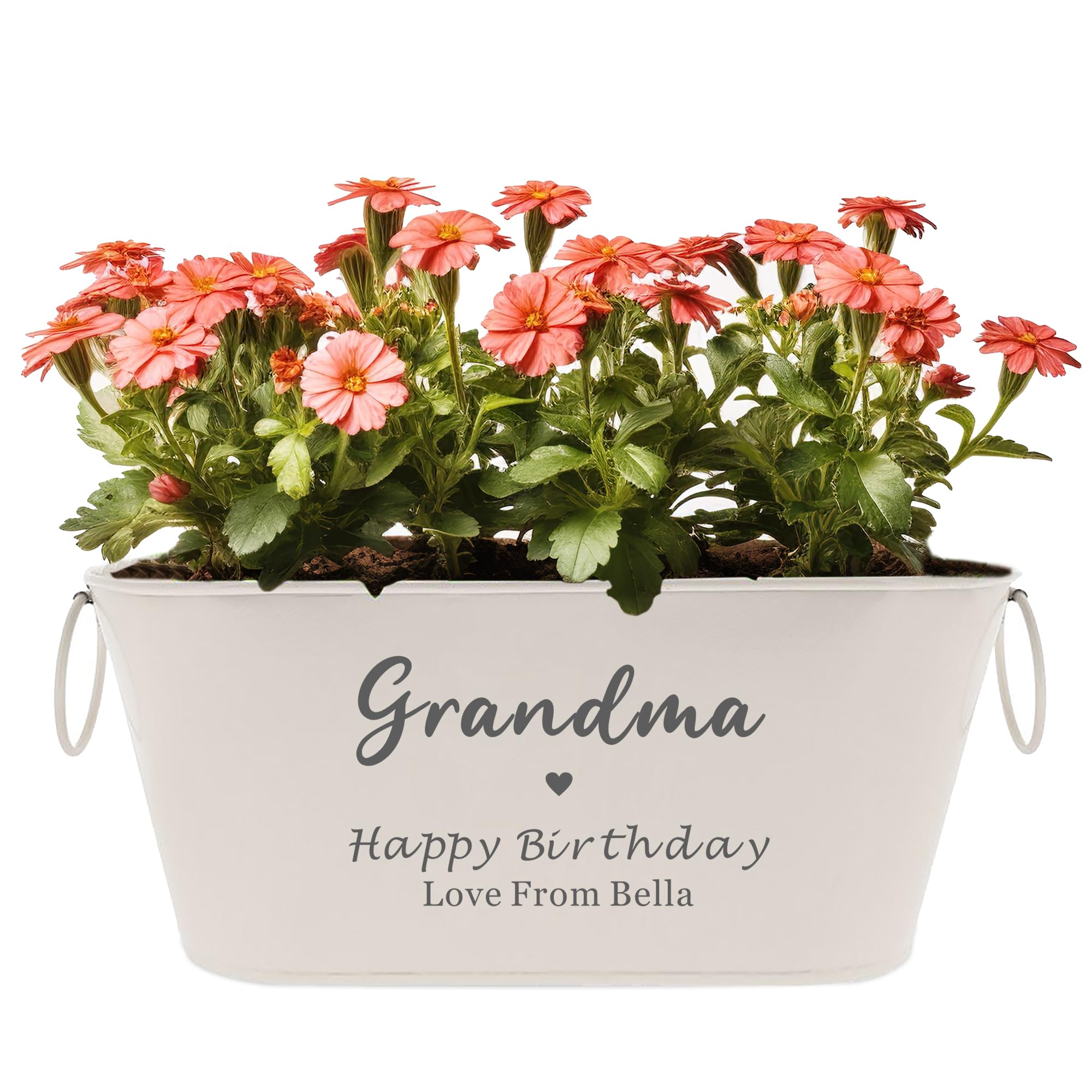 EDSG Personalised Plant Pot Engraved Metal Flower Pot Planter Garden Plant Pots Outdoor with Rings Gardening Gifts for Women Her Nanny Railing Balcony Anniversary Wedding Birthday(White, Design 3)