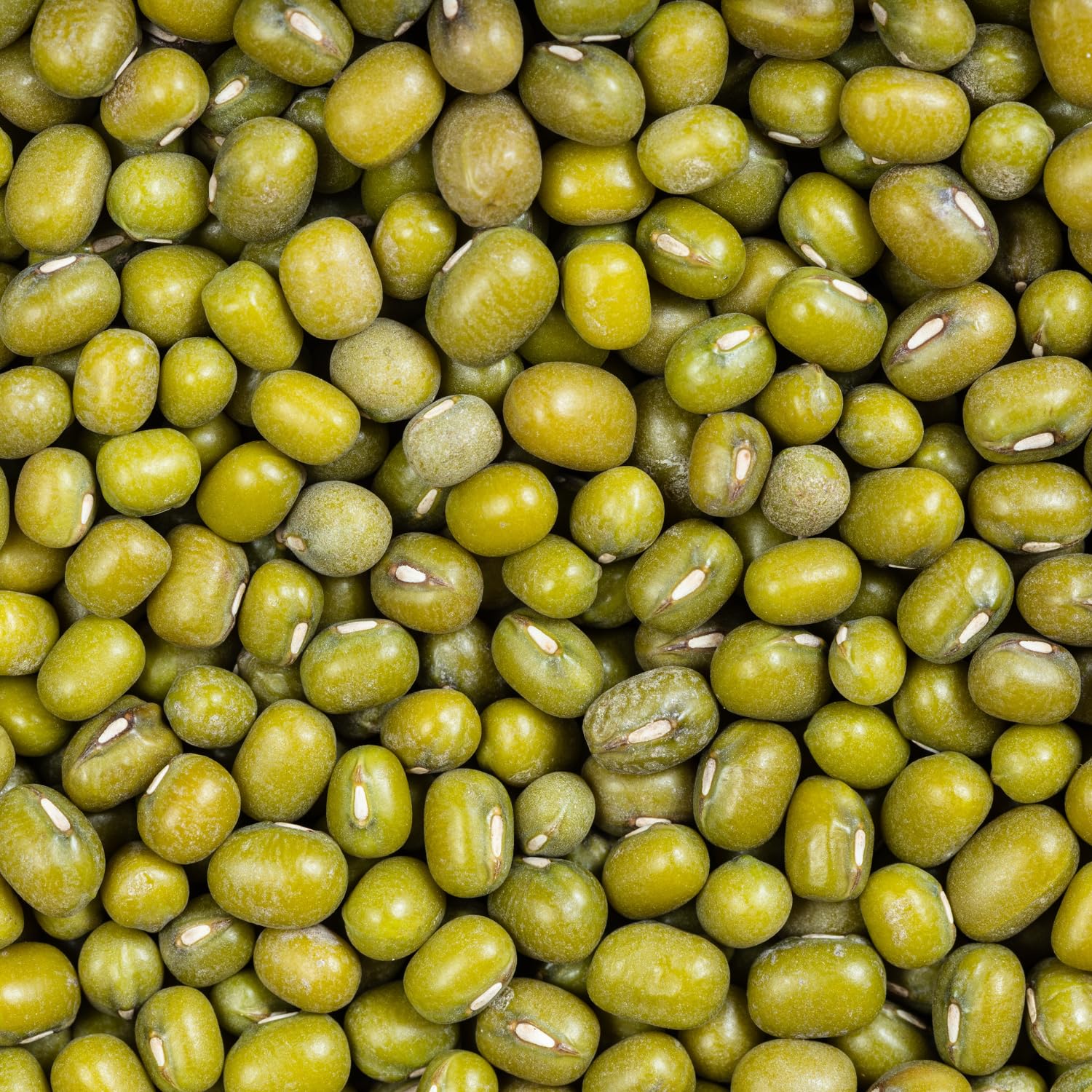Raitip Frijoles Mungo 500 g
