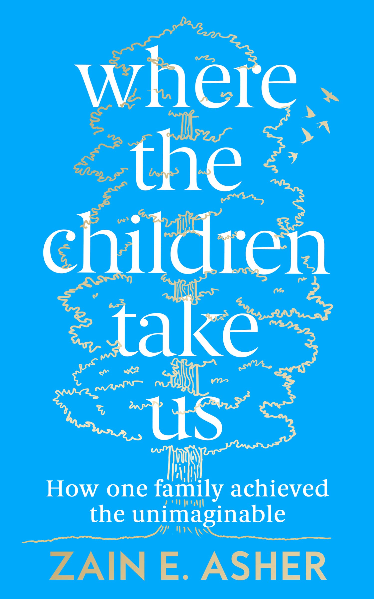 Buy Where the Children Take Us — BookShops.in