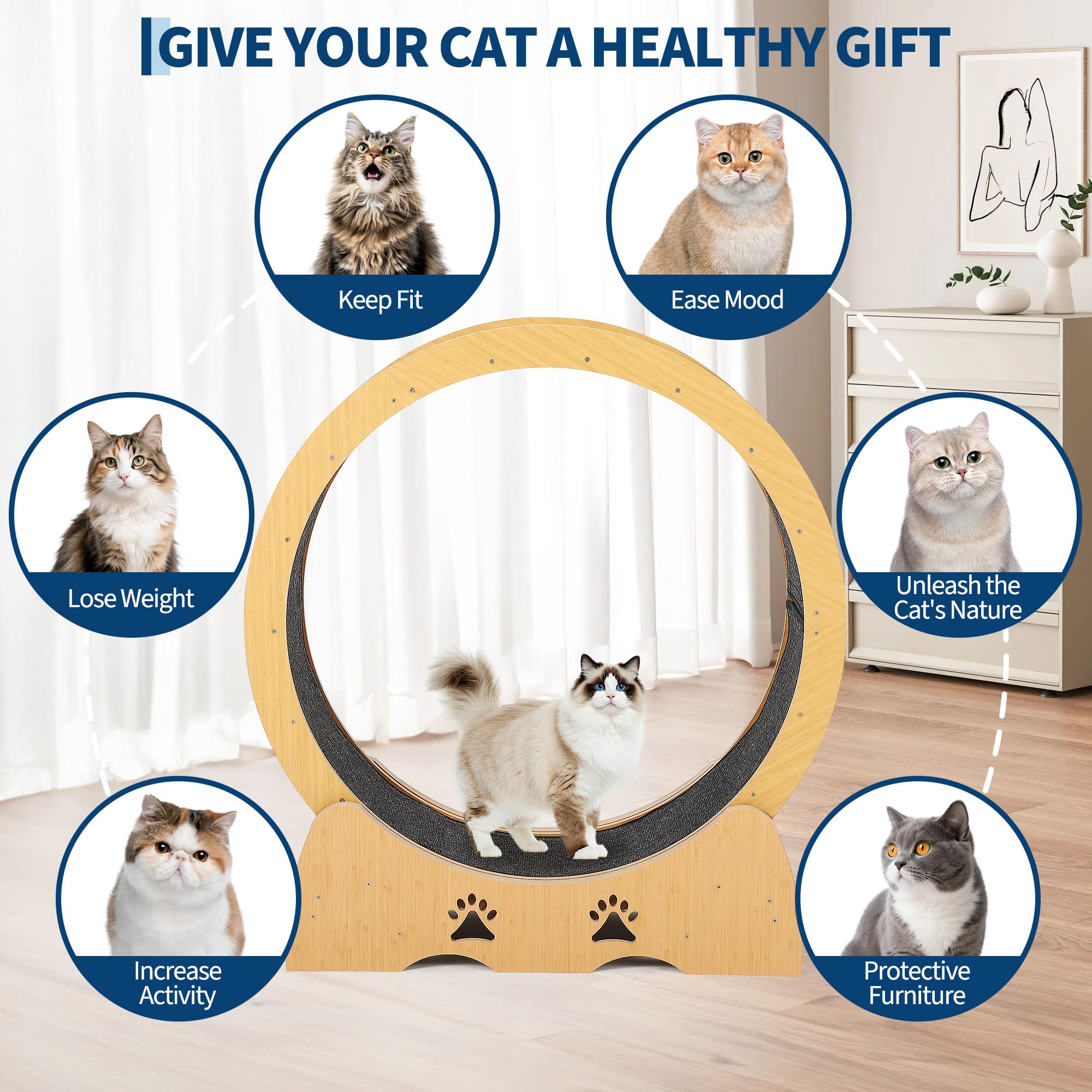 Garvee - Rueda de ejercicio de madera para gato de interior, alfombra extraíble silenciosa, ideal para el mantenimiento, la marcha y la salud de los gatitos, diseño natural