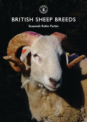 British Sheep Breeds: 803
