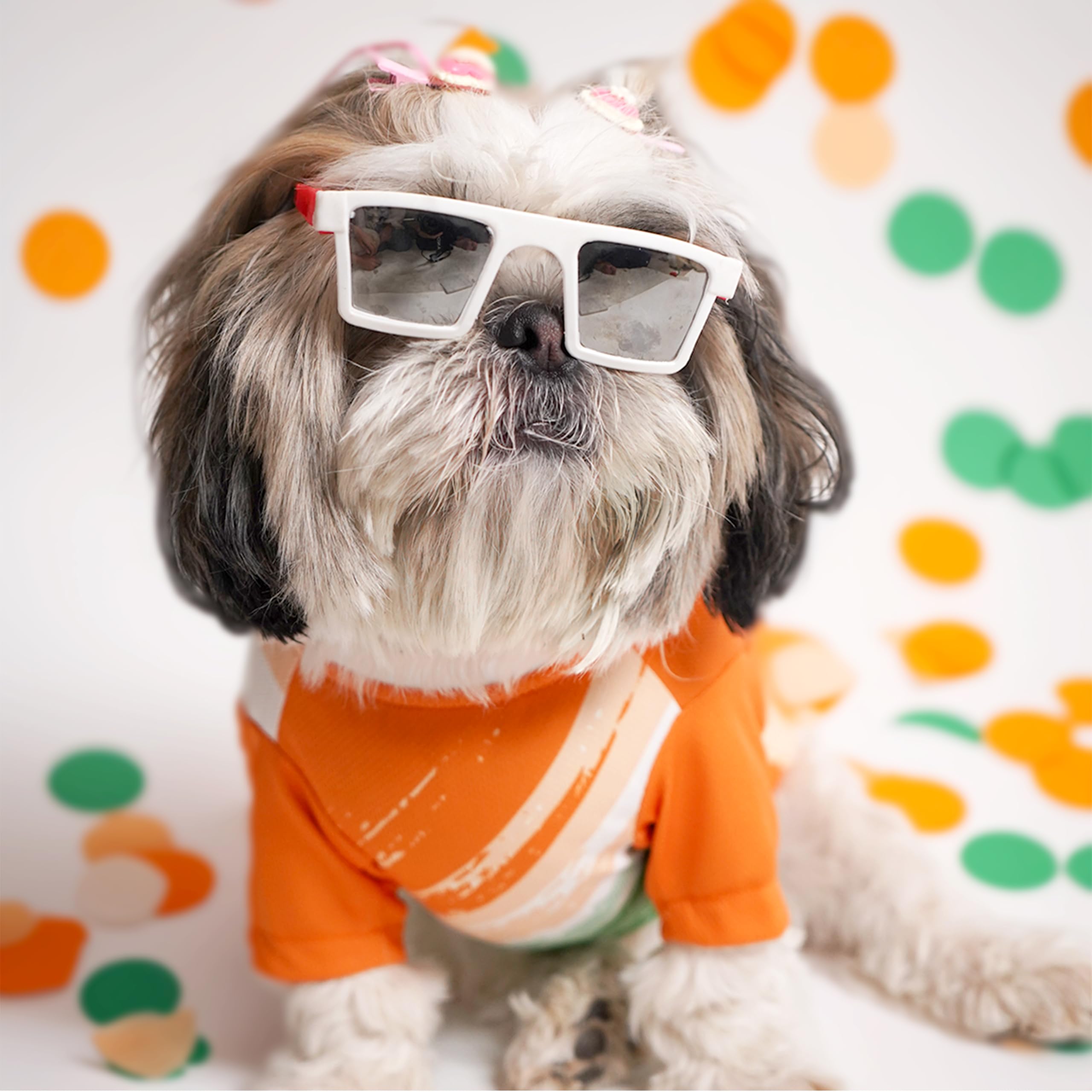 Pets Way Dog T-Shirt for 15th August | Tshirt for Small, Medium and Large Dogs (M, Tricolor 2) (B0DB2FBJZX) Amazon Price History, Amazon Price Tracker