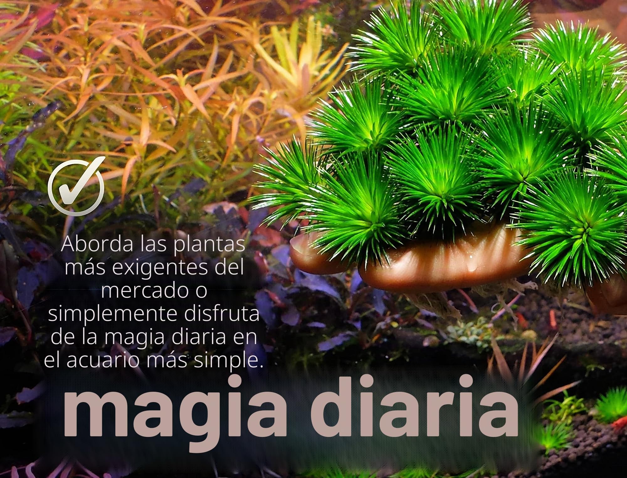 THE 2HR AQUARIST Abono Plantas Acuario APT 1/ Zero (600ml)
