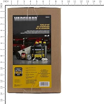 Amazon.com : Briggs and Stratton Vanguard Series Maintenance