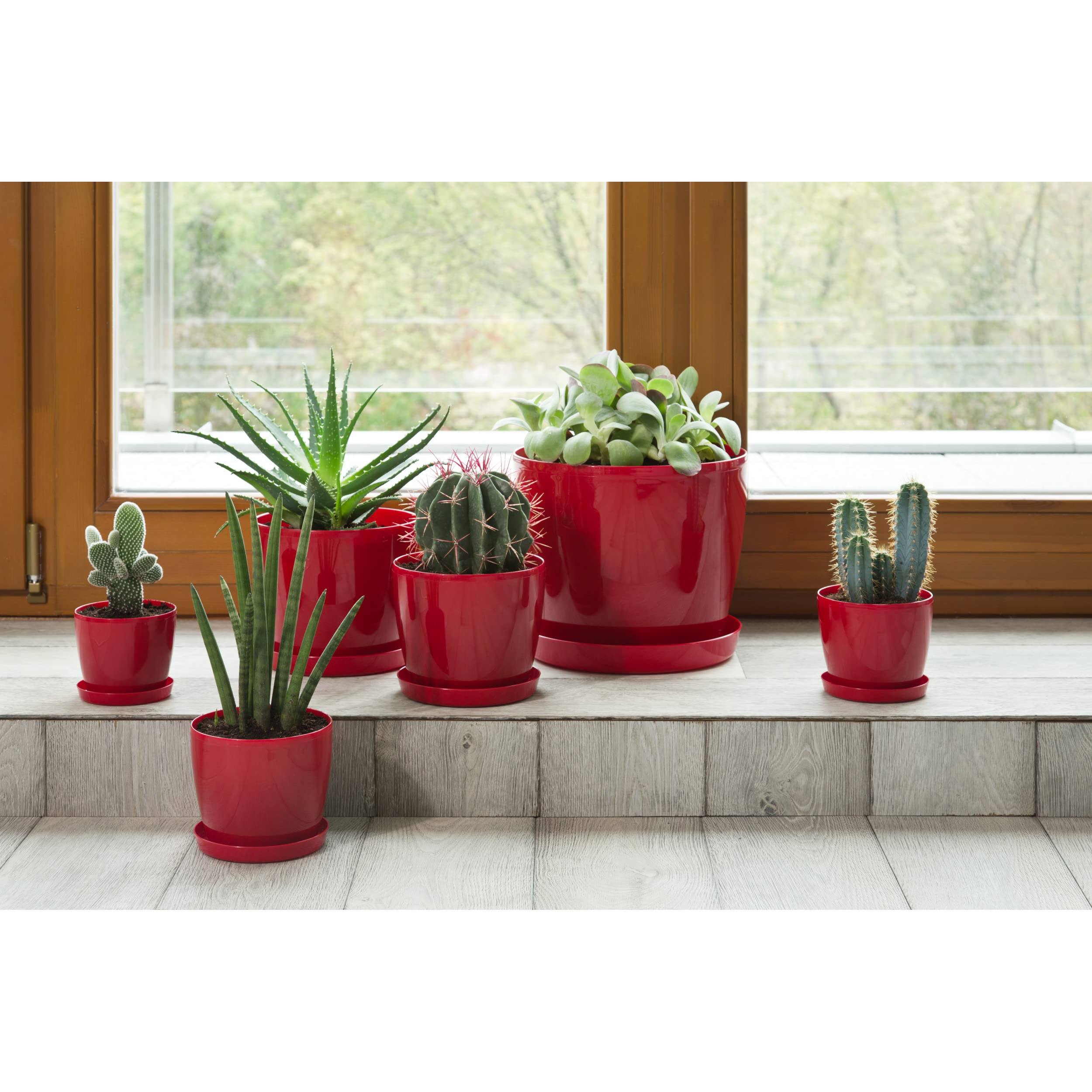 Jessica Portavaso In Plastica Rotondo – Contenitore Per Piante – Diametro Esterno 20 Cm, Altezza 7,2 Cm