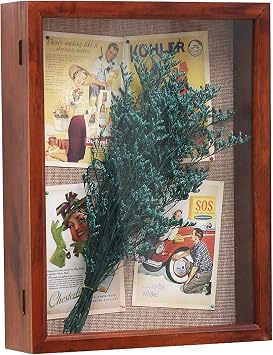 11x14 Deep Shadow Box Frame with Hinged Door, Cherry