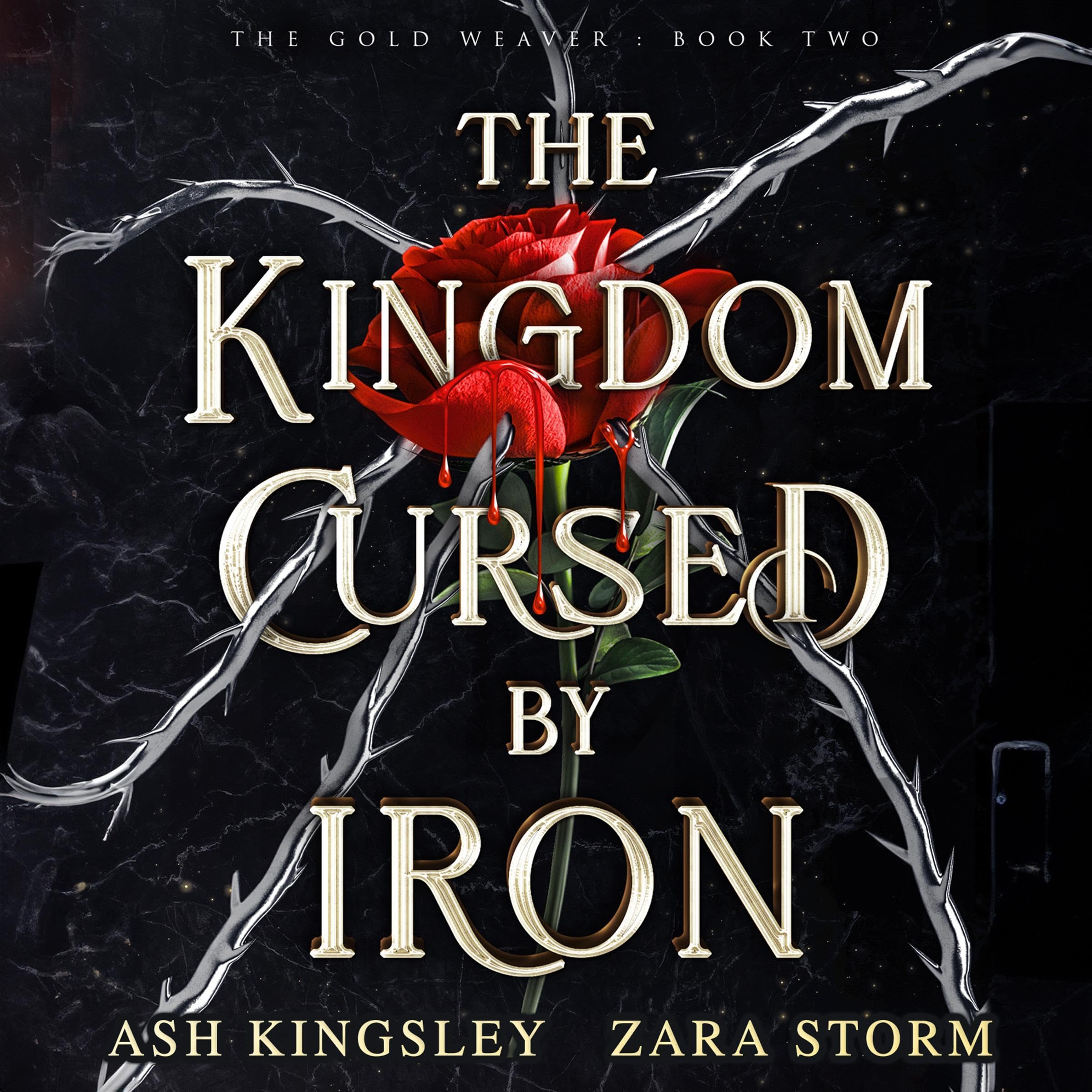 Cover art for The Kingdom Cursed by Iron