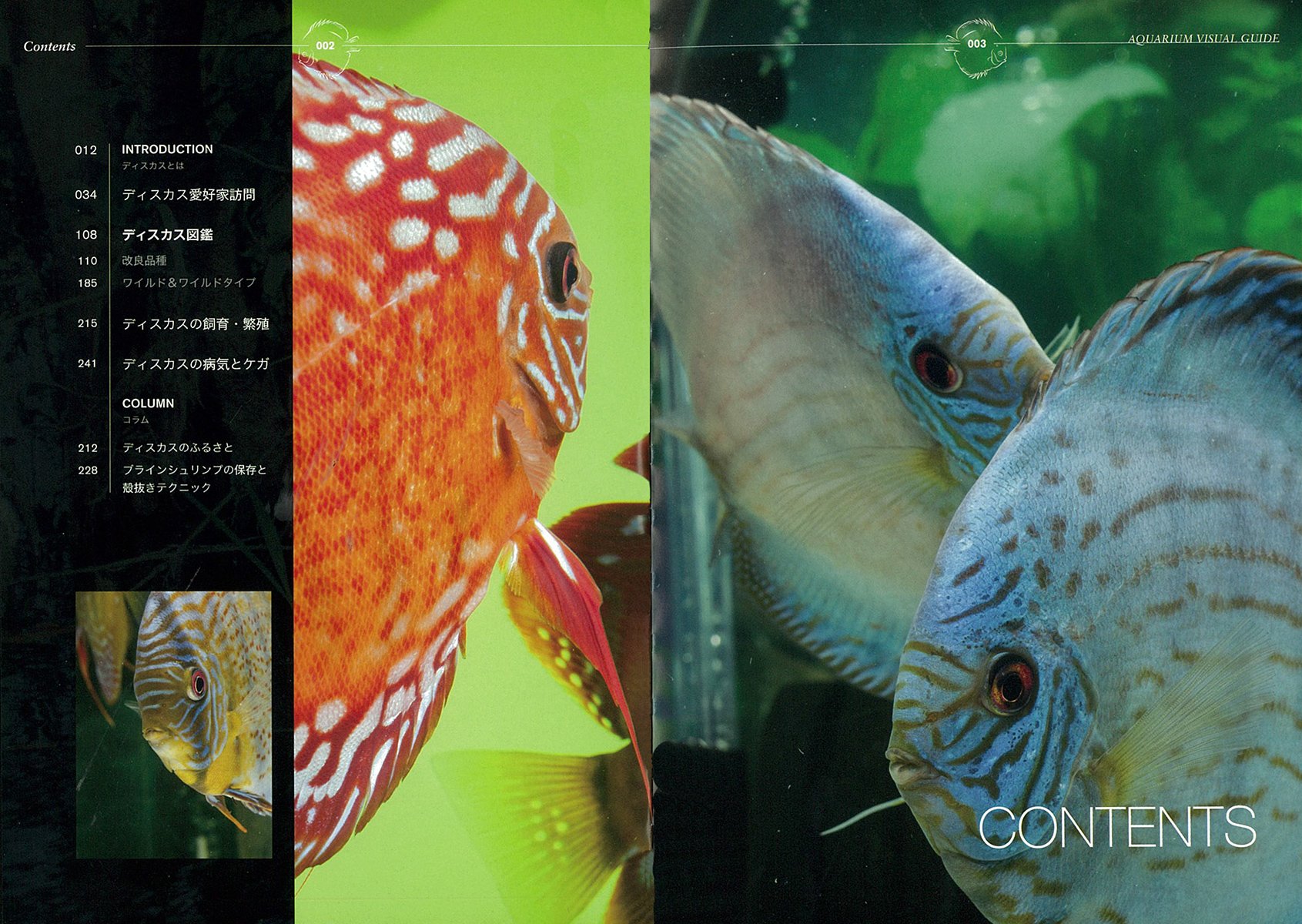ディスカス完全飼育 アクアリウム ビジュアルガイド 東 隆司 眞行 永田 本 通販 Amazon