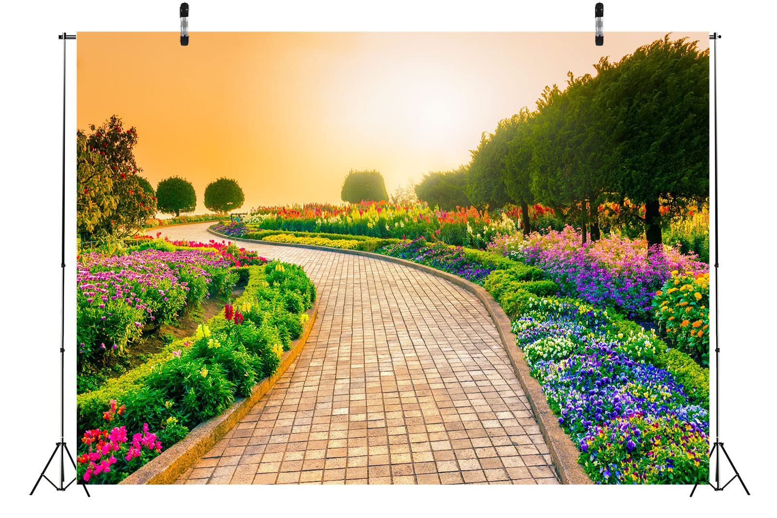 Outdoor Wadding Background Photoshop Backgrounds For Outdoor Wedding Amazon.com : CSFOTO 20x10ft