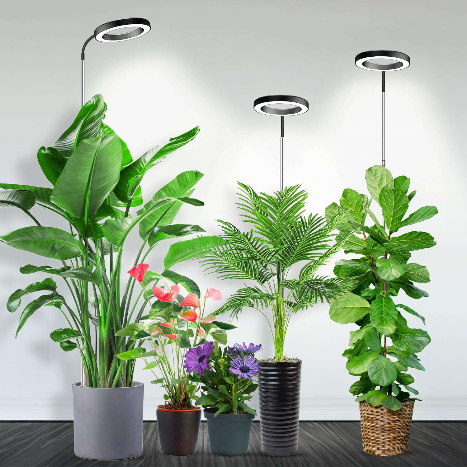 Garpsen Pflanzenlampe, Vollspektrum-Wachstumslampe mit Schwanenhals, 3 Farbmodi und 5 Dimmstufen, 6/12/16-Stunden-Timer, 65'' höhenverstellbare Grow Lampe für große Pflanzen (3er-Pack)