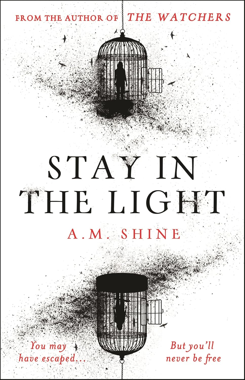 Stay in the Light the chilling sequel to hit horror novel THE WATCHERS Shine, A.M