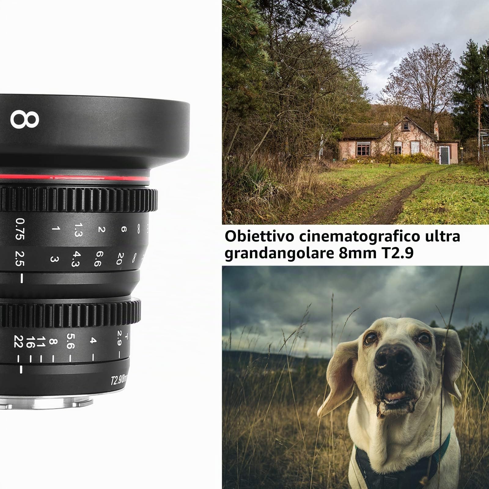 Meike - Lente obiettivo cinematografica, grandangolare da 8 mm T2.9 Mini Fixed Prime, messa a fuoco manuale per fotocamere M43 Micro Four Thirds MFT BMPCC 4K Z CAM E1 E2 Black