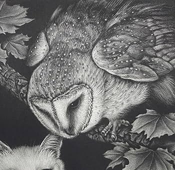 Amazon.co.jp: 生田宏司猫と猫頭鷹出会い銅版画 カラーメゾチント 額装 Amazon.co.jp: 生田宏司猫と猫頭鷹出会い銅版画 カラーメゾチント 額装