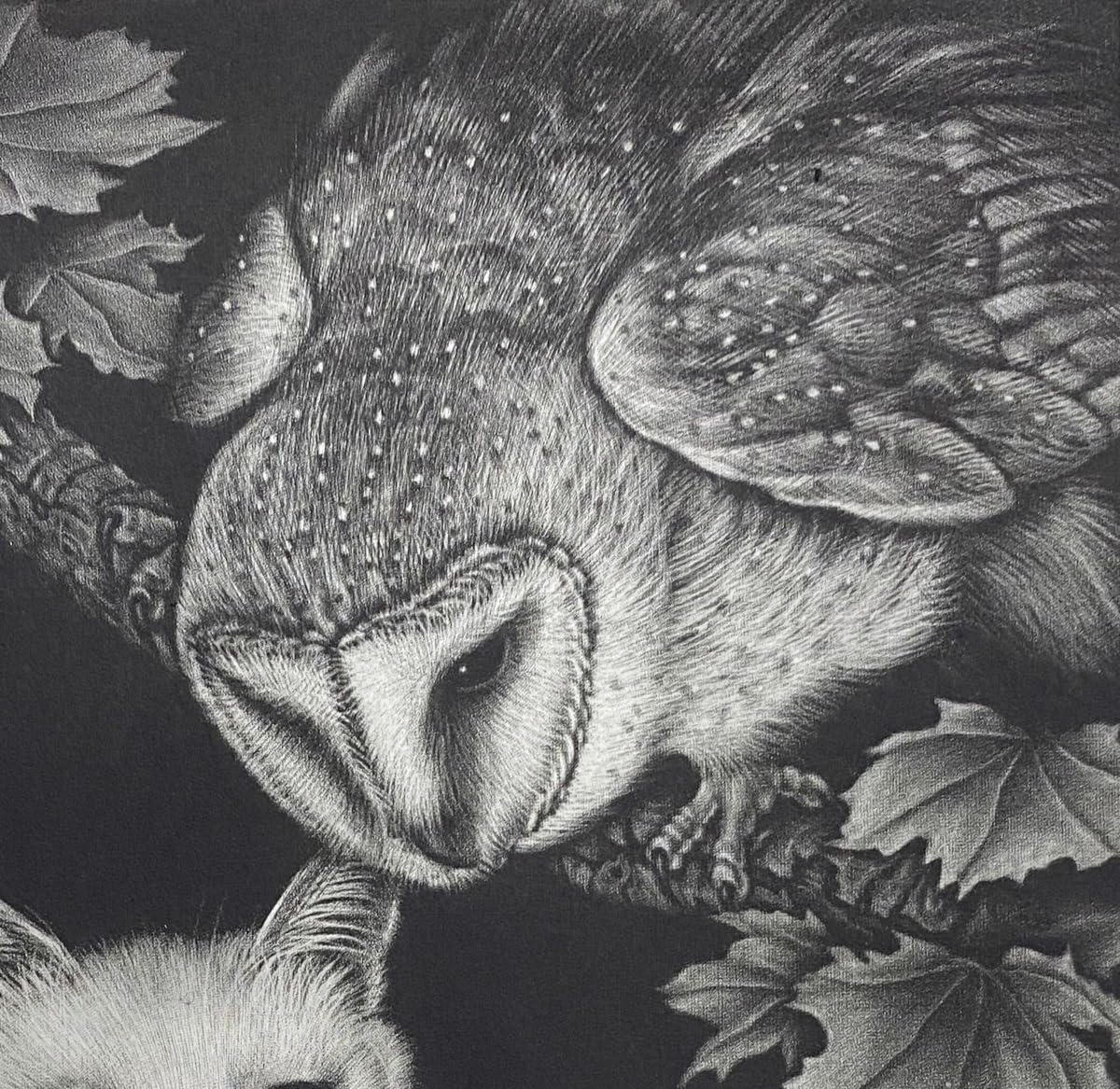 生田宏司 猫とフクロウの銅版画 A4サイズ 生田宏司猫とフクロウの銅版画 A4サイズ