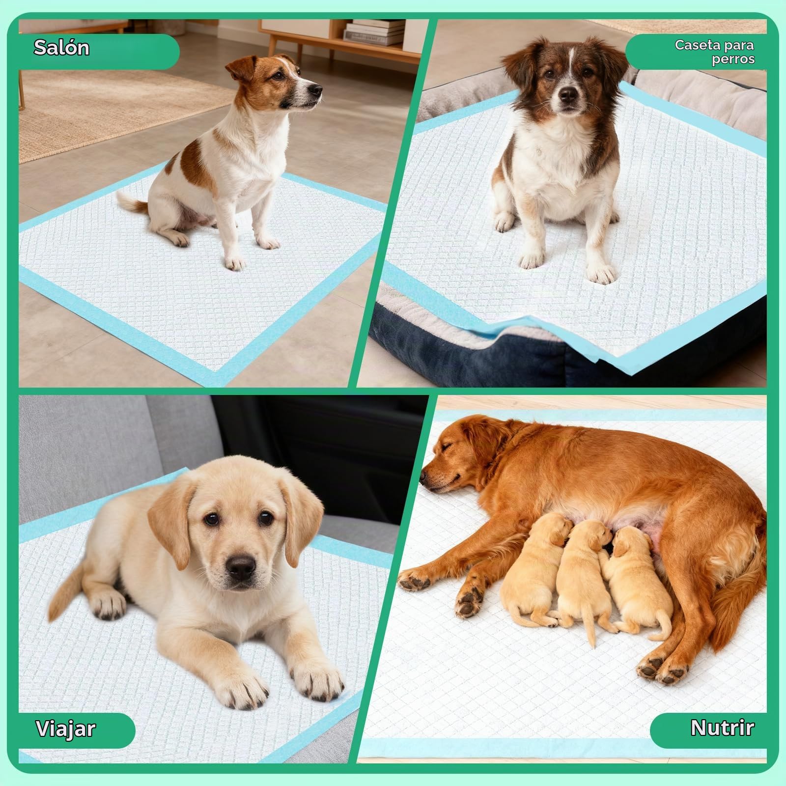 100 Piezas Empapadores Perros, 60x60 cm Resguardos para Cães, Almohadillas de Adiestramiento de Gatos y Cachorros Diseñada en 6 Capas y Puede Absorber rápidamente la Humedad