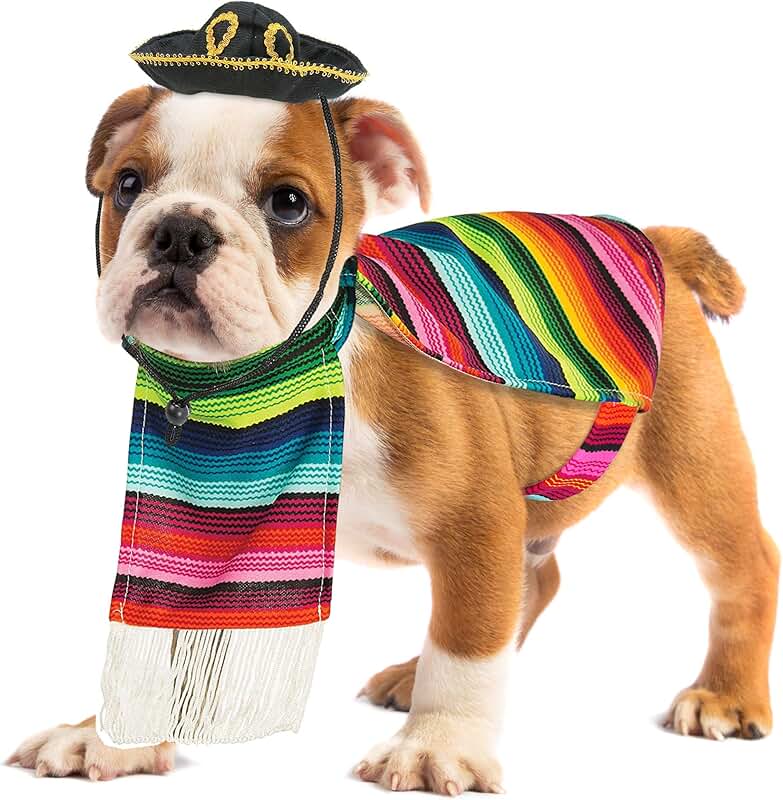 Dog Costumes Costumes / Apparel & Accessories Pet Supplies