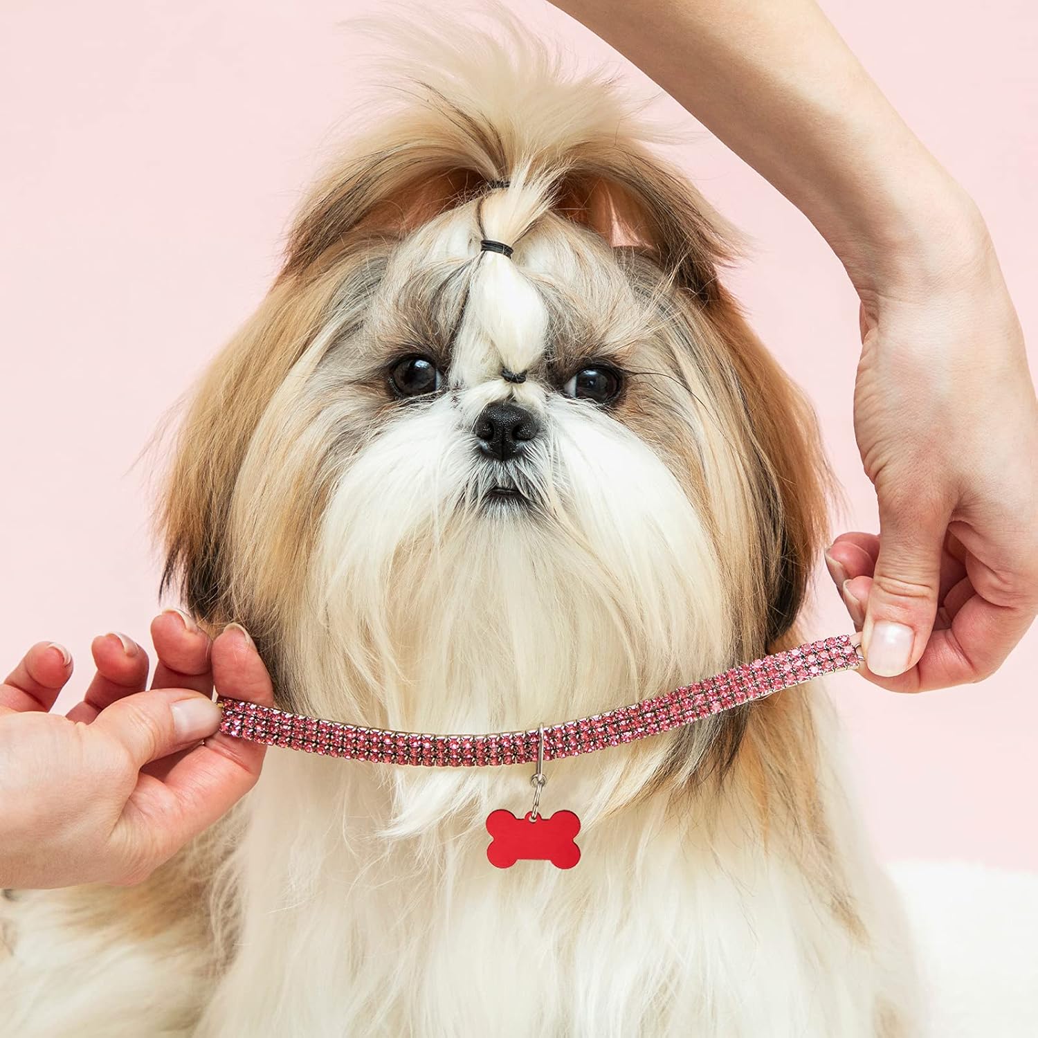 48 Pcs Blank Pet ID Tag Colorful Aluminum Dog Cat Badge Blank Round Heart Star Bone House Rectangle Tags with Ring Pet ID Badge Pendant with Hole for Dog Cat Name Phone Number, 6 Styles - Image 4