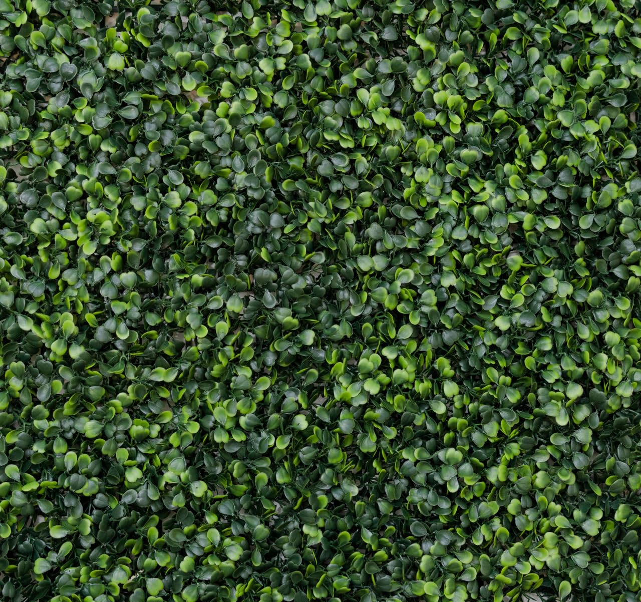 Jardín Vertical Artificial Exterior o Interior - Pack 8 Paneles 50x50 cm (2m²) - Planta Artificial para Pared Moderno - Muro Vegetal - Proteccion UV - Boj Artificial Decoración