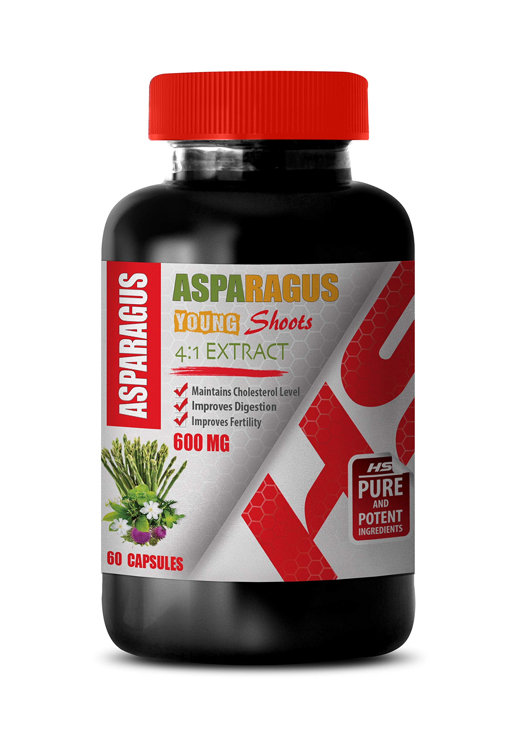 Brain Memory Focus Supplements - Asparagus 600 Mg Young Shoots 4:1 Extract - Asparagus Root Extract - 1 Bottle 60 Capsules