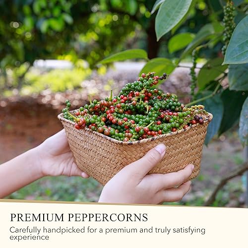 Miniatura 6 de PONTINO Molinillo de pimienta arcoíris de 11 oz (311 g)  Condimento para cocinar  Para condimentar todos tus platos  Perfecto para carnes a la