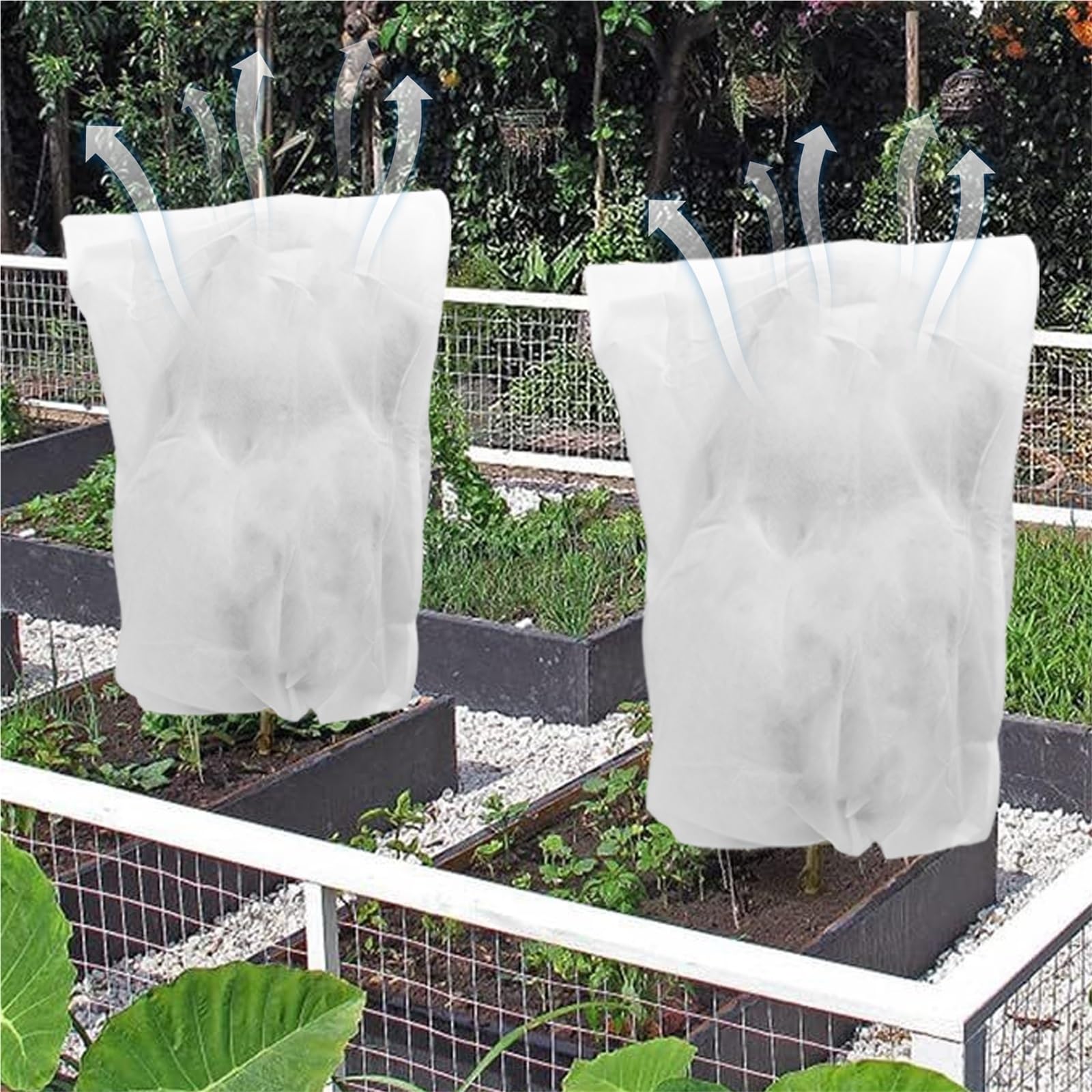 2 Pezzi di Copertura for Piante Invernali con Coulisse e Cerniera for Alberi, Piante da Giardino per Piante in Vaso(White,80x100cm)