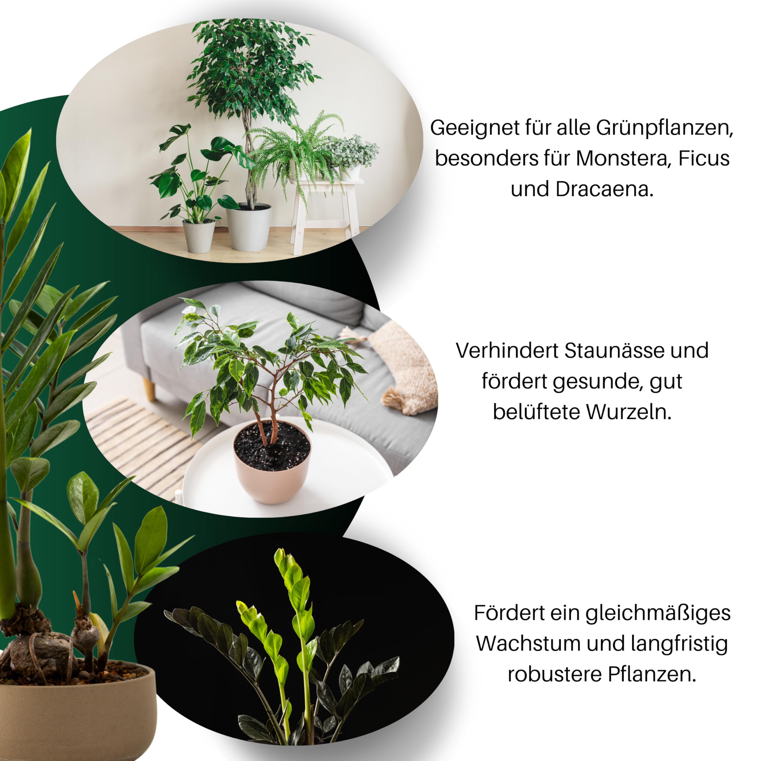 GebEarth | Blumenerde fr Grnpflanzen | Langfristige Nhrstoffe und  gesundes Wachstum | Erde fr Monstera, Efeu, Dracaena und alle Arten von  Grnpflanzen3L : Amazon.de: Garten