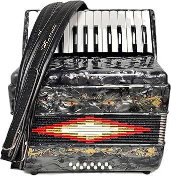 Amazon.com: Rossetti 2512 Piano Accordion 12 Bass 25 Keys with