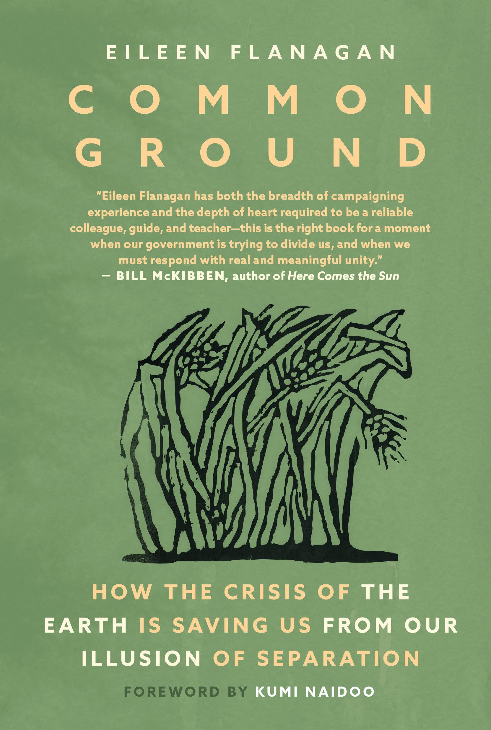 Common Ground: Stories of Resistance and Healing from the Movement to Protect the Earth