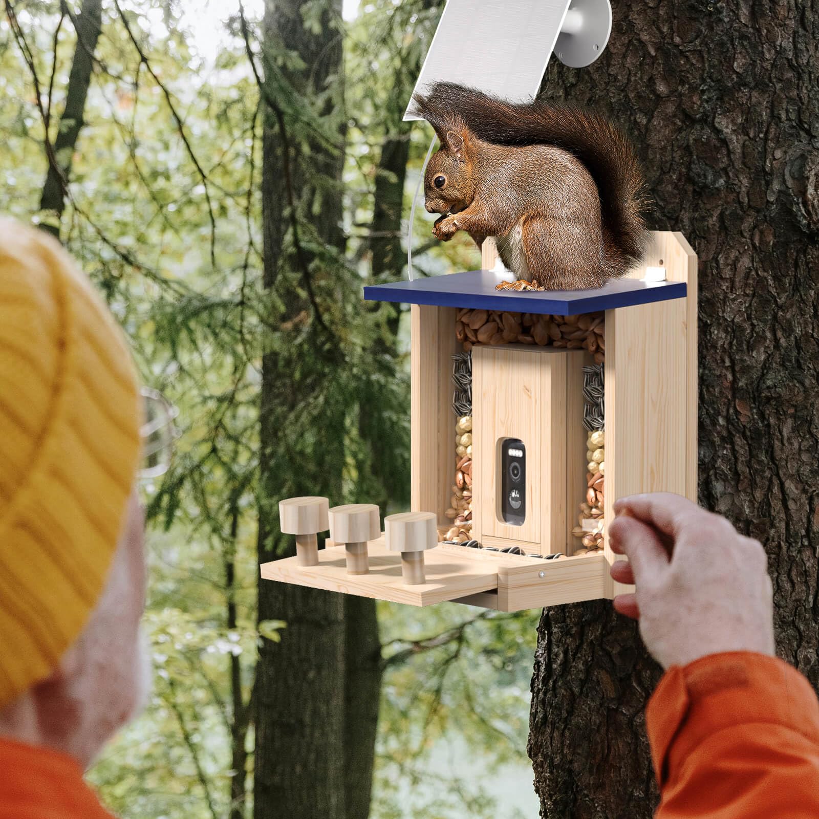 Eichhörnchen-Futterstation aus Holz mit HD-Kamera, solarbetriebener Eichhörnchen-Bar im Freien, Echtzeit-Ansicht, sofortige Benachrichtigungen, langlebig & stabil, für Eichhörnchenliebhaber