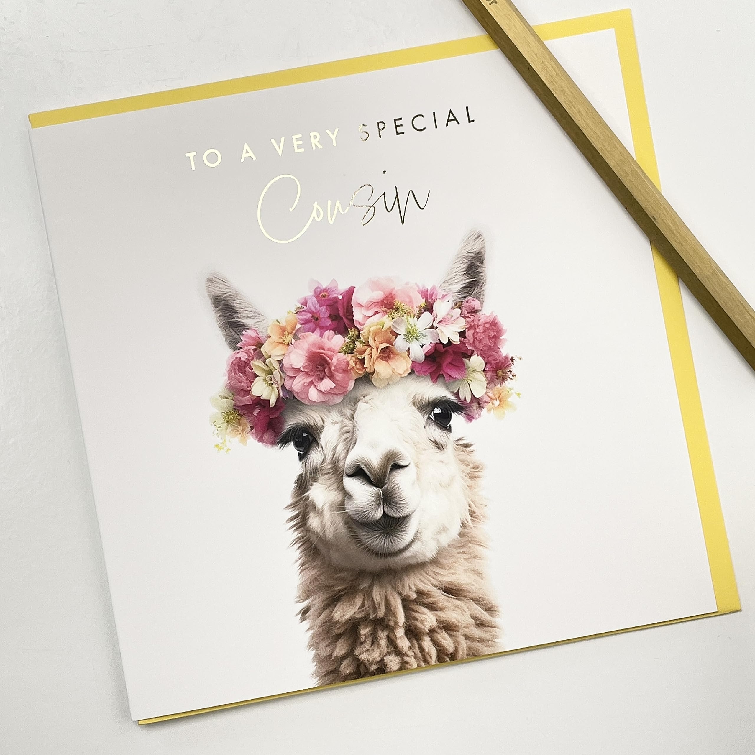 Old English Co. Carte D'Anniversaire Amusante Pour Cousine Carte D L 775294