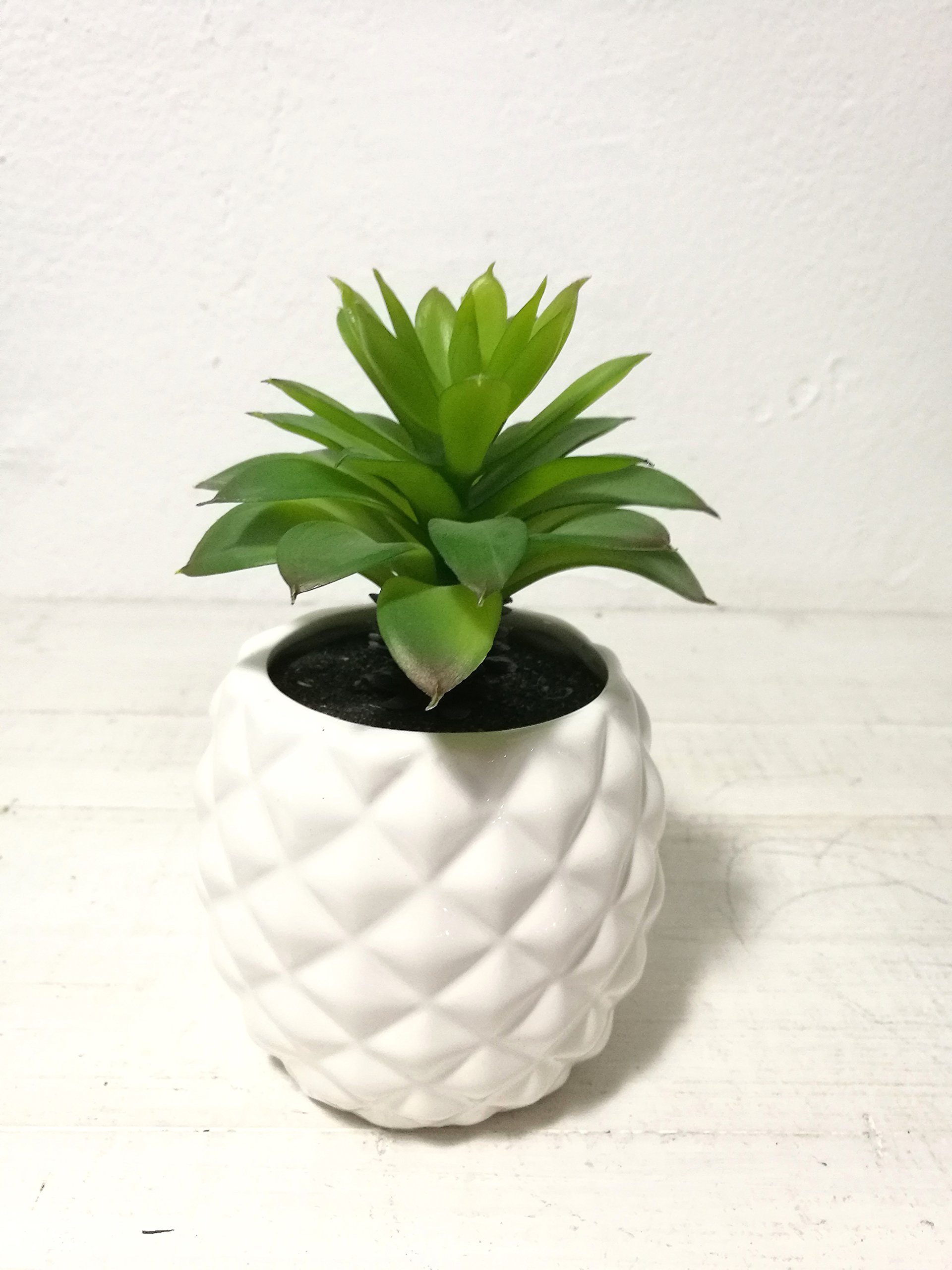 Amazon.co.jp: Potted人工多肉植物7インチ、3のセット、ホワイト磁器