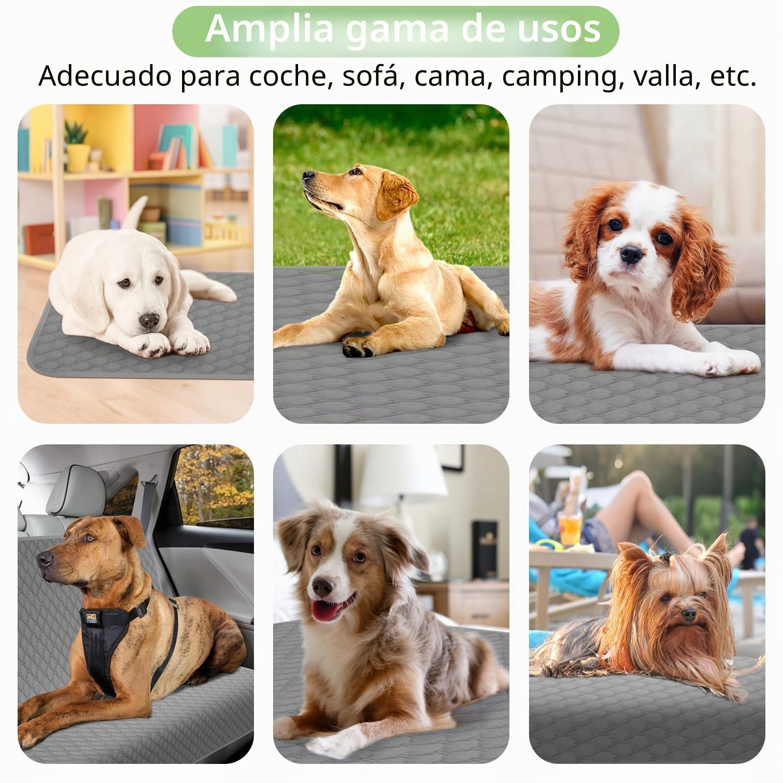 Manta Impermeable para Perros, Almohadilla de Entrenamiento Reutilizable Antideslizante Protector de Muebles, Sofá, Cama Lavable para Cachorros, Perros y Gatos 137 x208 cm