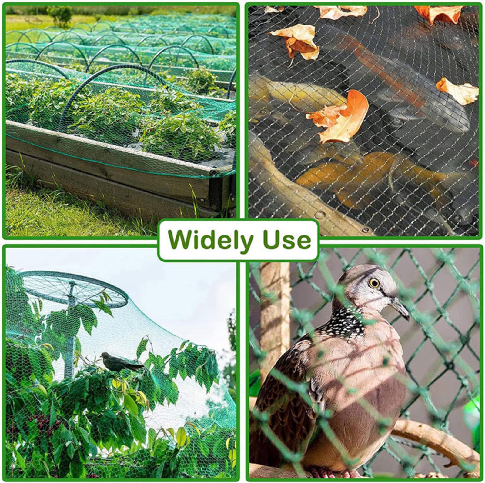 Filet Anti Oiseaux Potager Filet Anti-Oiseaux BarrièRe Chat Protège Les Plantes, Les Fruits, Les Arbres,10x10m