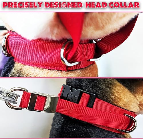 Miniatura 5 de PetsProMax - Collar de cabeza para perros tiradores y reactivos, collar de entrenamiento sin tirones con gancho detrás de la correa para paseos
