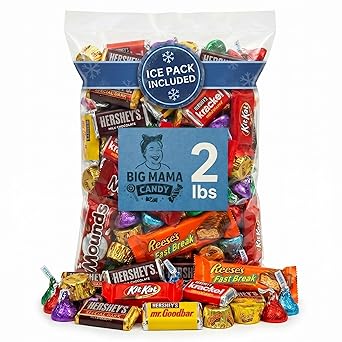 Chocolate Candy Variety Pack 2 LB Individually Wrapped Assorted Mini Bars | Bulk Candy Parties, Office & Gift Bags, Fathers Day - Ice Pack Included