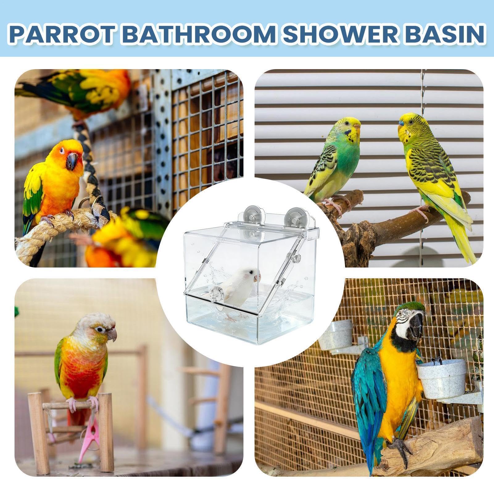 Generico Bañera transparente para jaula, | Baños para alimentación, aviario, cuidado de especies pequeñas y medianas como calopsitas, conuros, inseparables, pinzones y