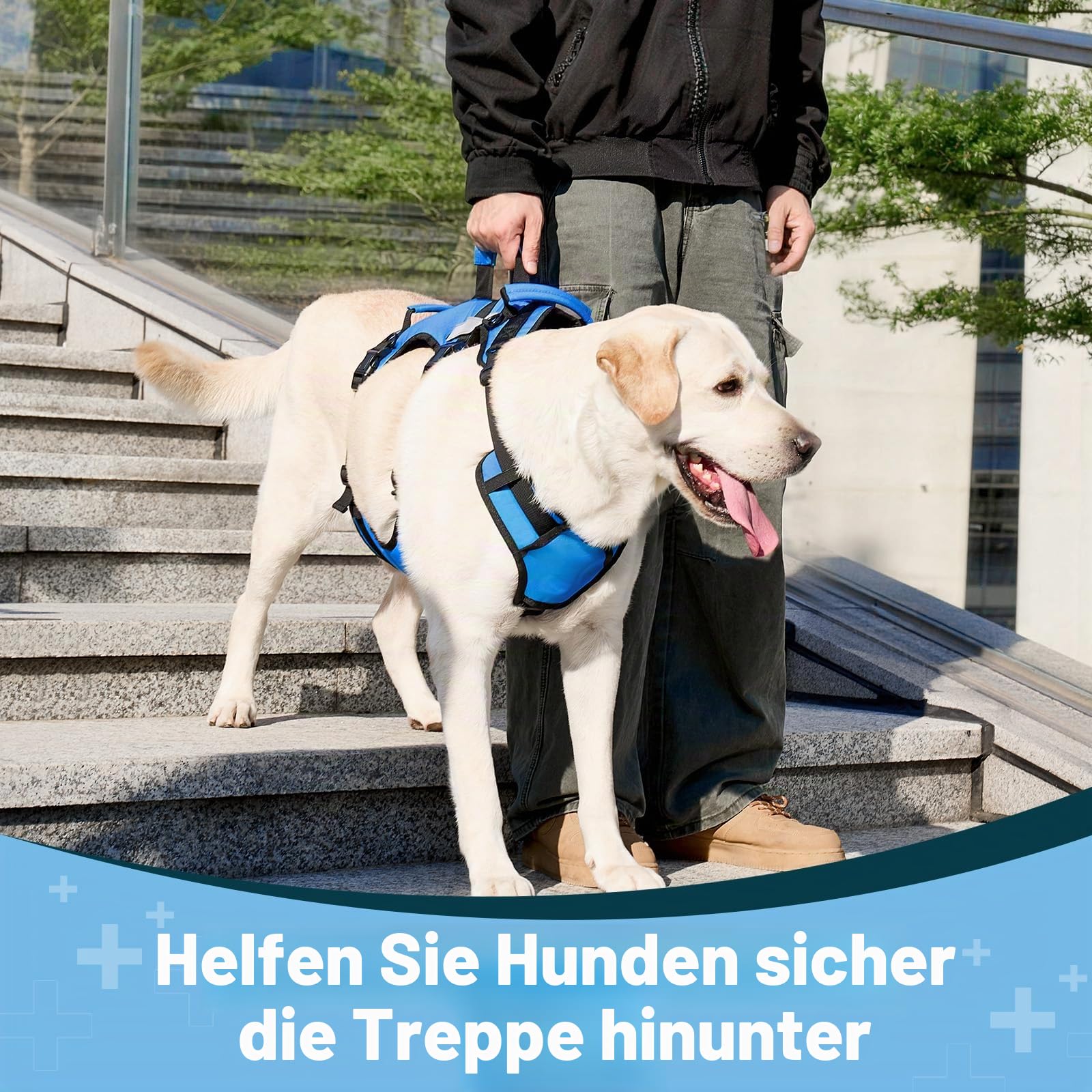 Dog Lift Geschirr für Große Hunde, Ganzkörper-Stützschlinge mit 3 Griffen und Schultergurt, Trageweste für ältere Hunde mit Arthritis oder Gelenkverletzungen, Treppenhilfe, Blau, X-Large