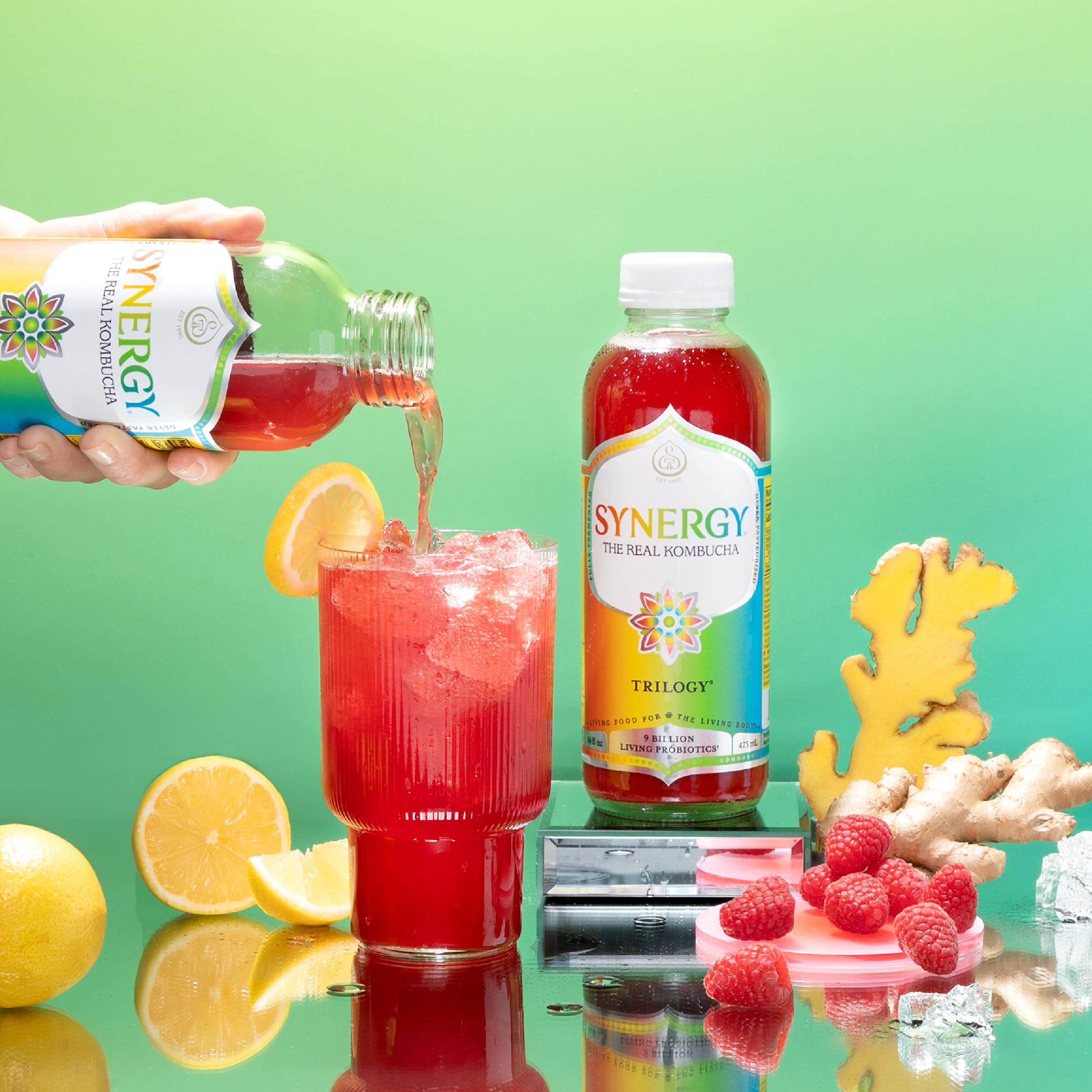 Amazon.com: SYNERGY The Real Kombucha Trilogy Kombucha - 16 fl oz