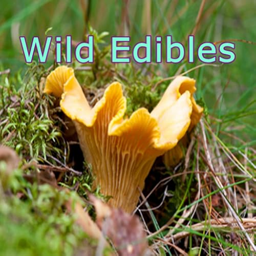 Wild Edibles