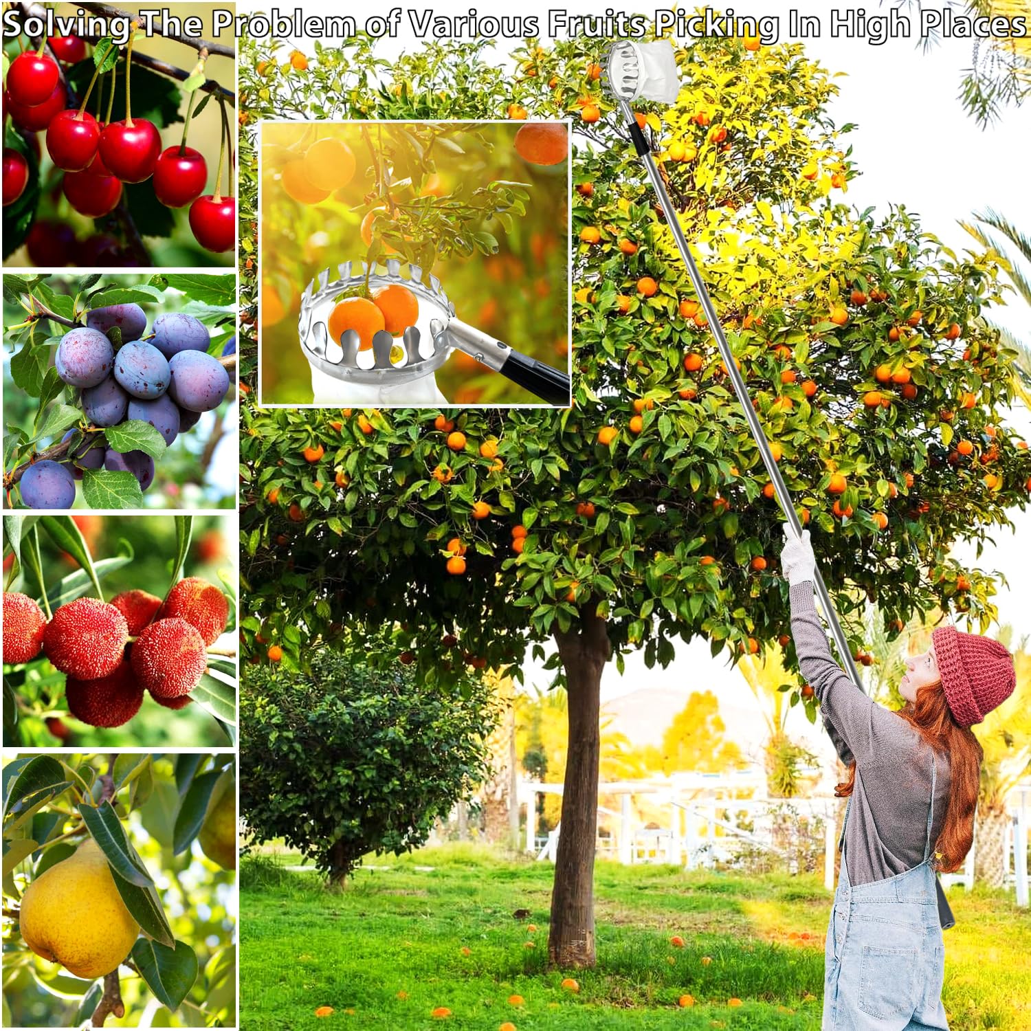 Obstpflücker mit Teleskopstiel,Jusduit 3.2M Apfelpflücker Obstpflücker mit Stoffbeutel,Obstgreifer Einfach zu Montieren,Kirschpflücker,Obstsammler für Ernteernte Apfel Orangen Pfirsichbirne Kirschen