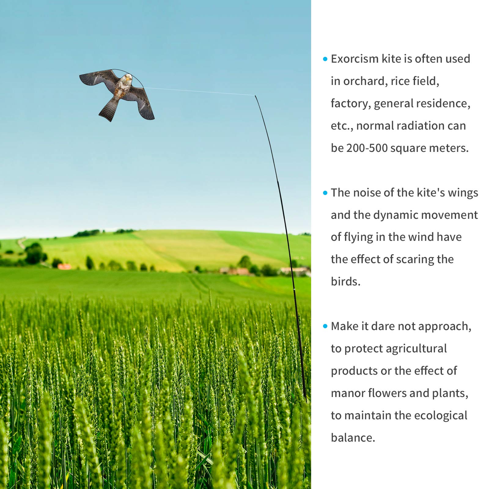 Buy eyijklzo Bird Hawk Scary Flying Kite Bird for Backyard Lawn Garden