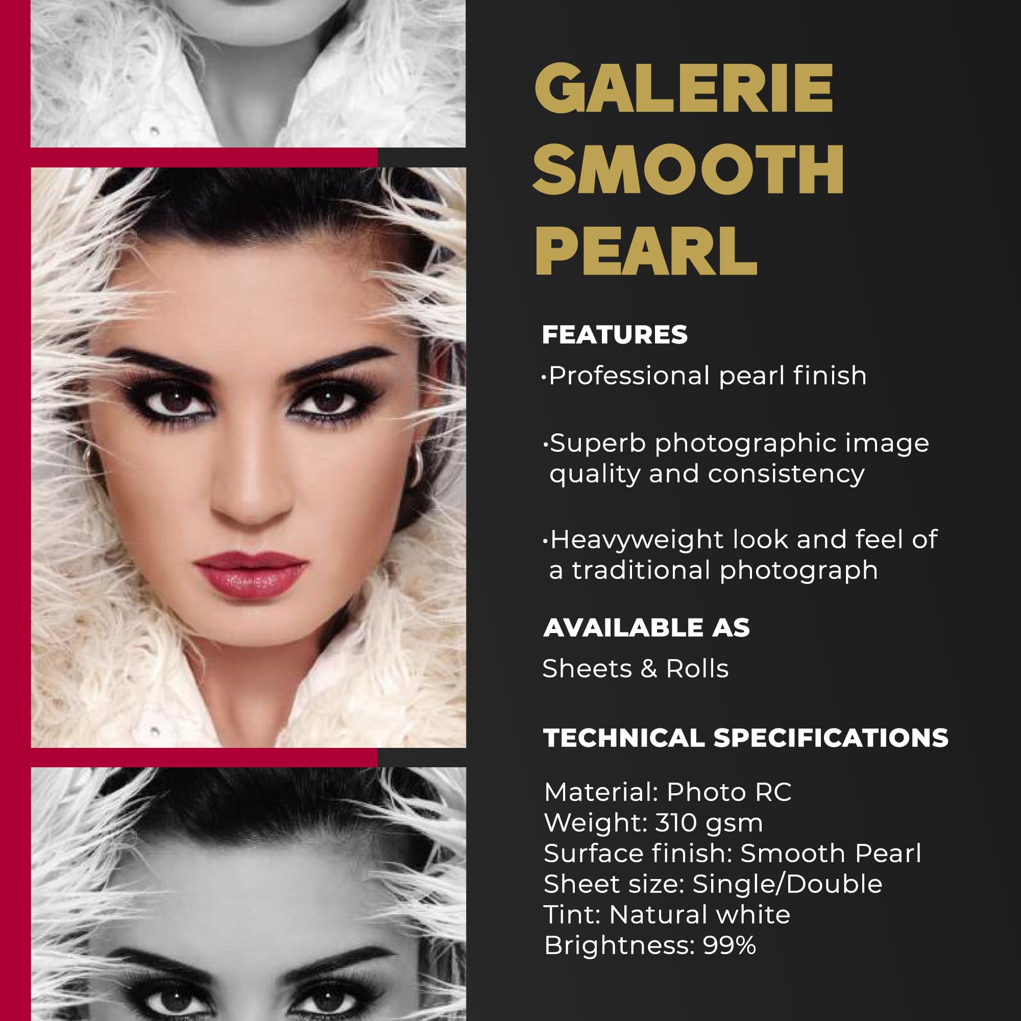 Amazon.com : ILFORD GALERIE Prestige Smooth Pearl - 8.5 x 11