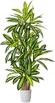 Warmplants Arbre de bambou artificiel, 6ft Plante de bambou avec planter blanc, faux arbres avec 5 Trunks et les feuilles de vie pour intérieur extérieur Home Office Décor