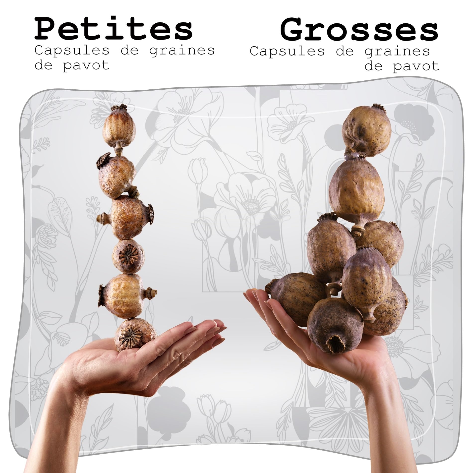 Capsules de graines de Pavot séchées sans Manche, Accessoires de Bricolage & décoration (Petit 200 g)