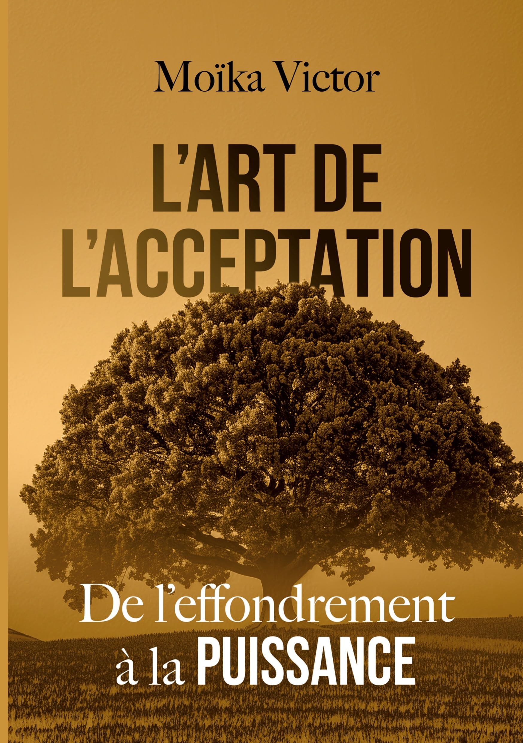 L’art de l’Acceptation: De l’effondrement à la Puissance